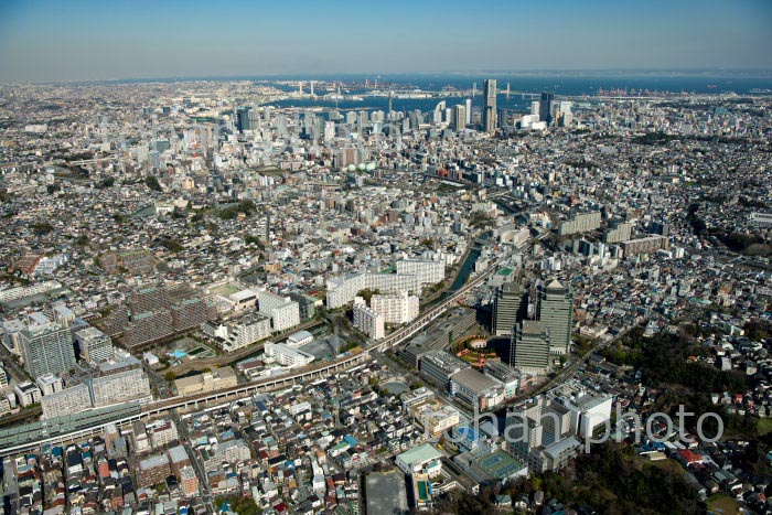 星川駅周辺より横浜市街地(2020/3)