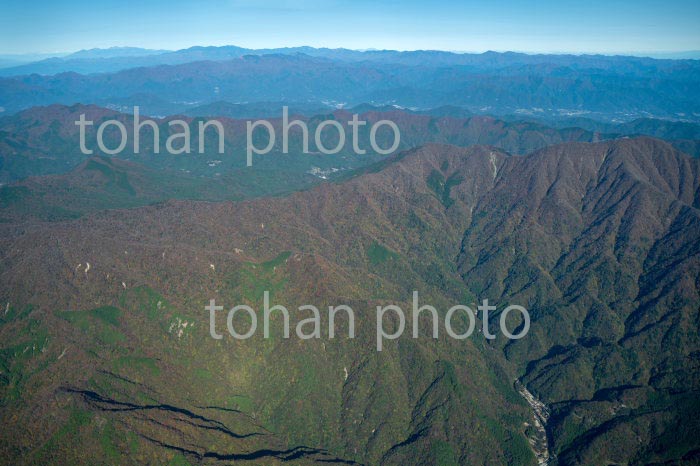 丹沢山地(大室山,白石峠周辺)(2020/11)