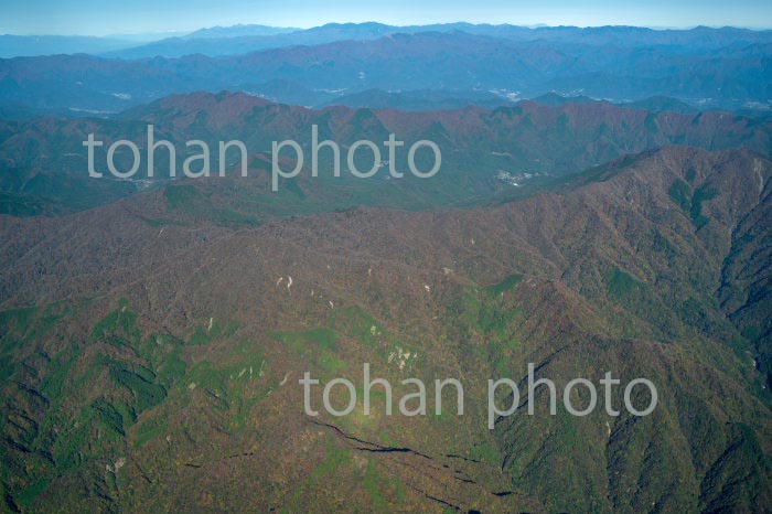 丹沢山地(畦ヶ丸,大界木山,白石峠周辺)(2020/11)