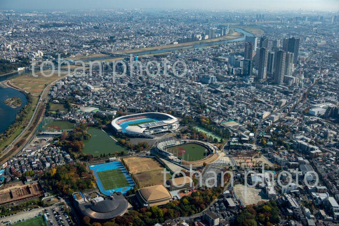 川崎等々力緑地公園と武蔵小杉方面(2020/11)