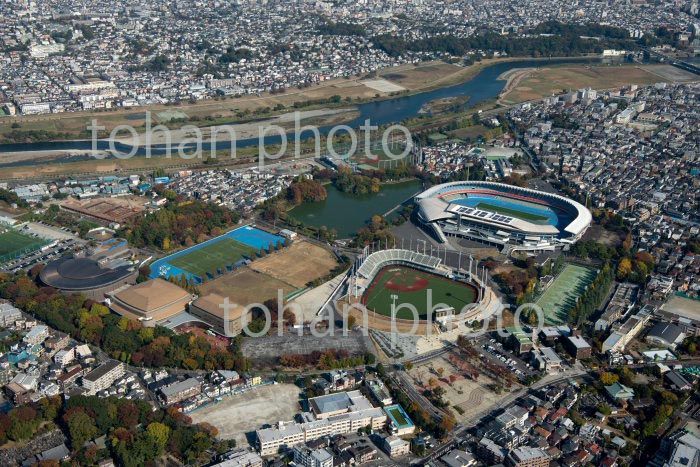 川崎等々力緑地公園周辺(2020/11)