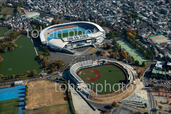 等々力陸上競技場,等々力硬式野球場(川崎等々力緑地公園)周辺(2020/11)