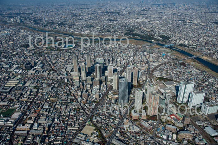 武蔵小杉駅周辺のマンション群より川崎等々力緑地公園方面(2020/11)