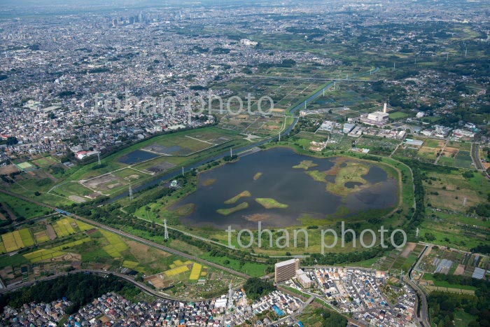 見沼田んぼ(芝川第一調節池より見沼区方面)周辺(2020/9)