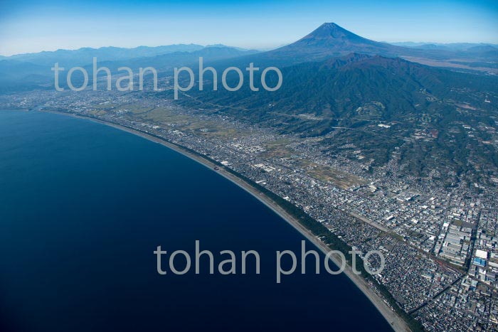 千本松原より富士山(2020/11)