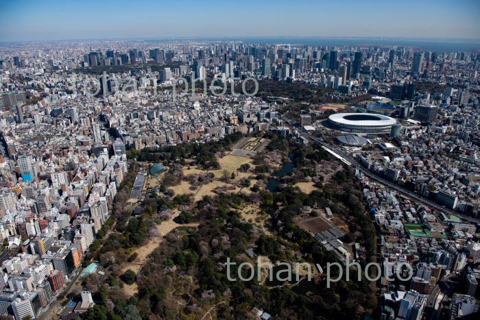 新宿御苑の桜と国立競技場と都心(2020/3)