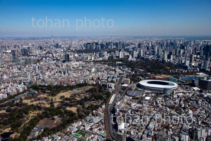 新宿御苑の桜と国立競技場と都心(2020/3)