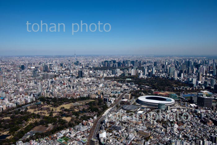 新宿御苑の桜と国立競技場と都心(2020/3)