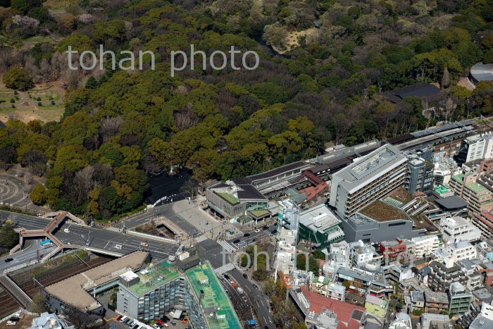 原宿駅周辺(2020/3)