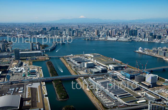 東京都中央卸売市場豊洲市場周辺より東京の街並みと富士山(2020/3)