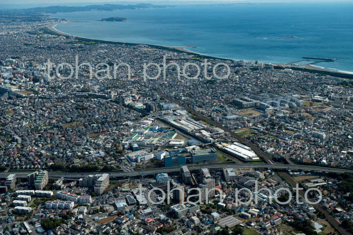 茅ケ崎市街地より湘南海岸(2021/10)