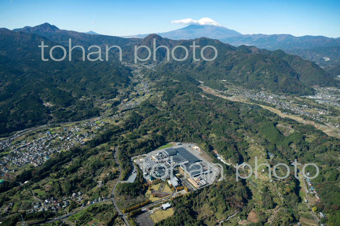 アサヒービール神奈川工場周辺より富士山(2021/11)