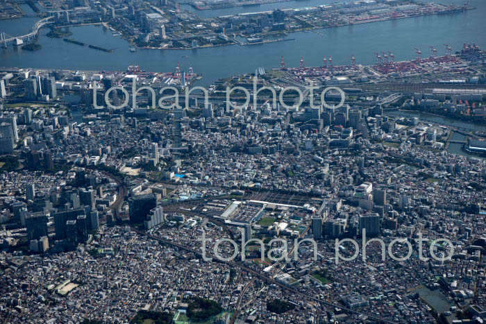 JR大崎駅,JR大井町周辺(2021/10)