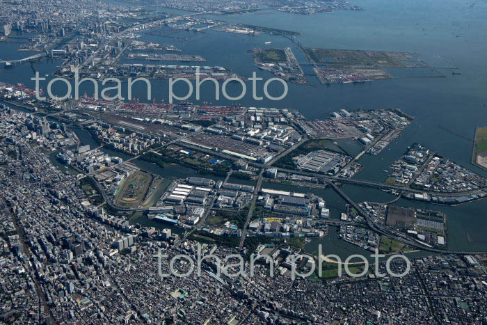 平和島,昭和島,京浜島,JR貨物東京貨物ターミナル,大井コンテナ埠頭周辺(2021/10)