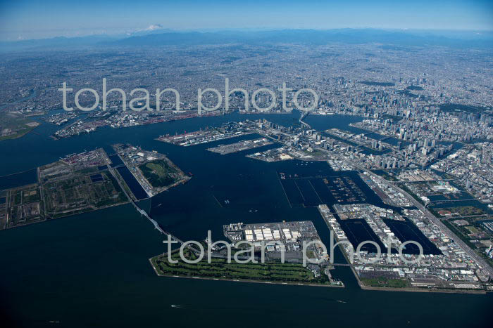 新木場,中央防波堤外側埋立処分場,お台場,有明周辺より富士山(2021/10)