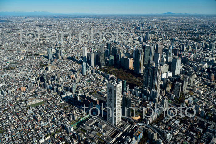 初台周辺より新宿地区の高層ビル群(2021/11)