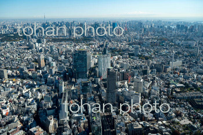 渋谷駅周辺より東京の街並み(2021/11)