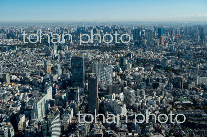 渋谷駅周辺より東京の街並み(2021/11)