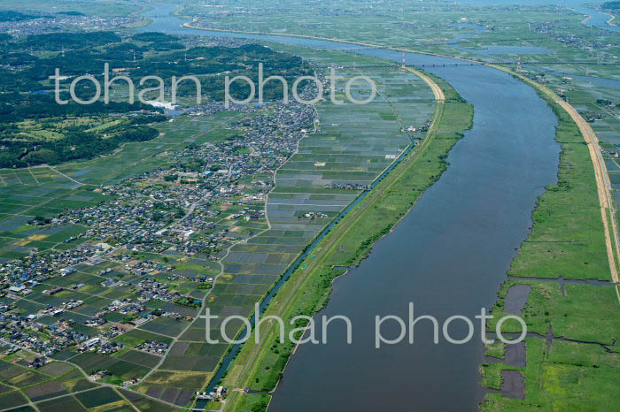 香取市の水田(三ノ分目,大倉,地区)と利根川,利根川橋の関東平野(2022/05)