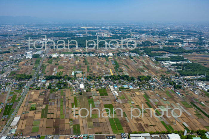 三富新田(中富地区周辺)(2022/05)