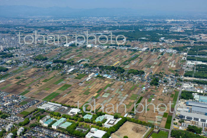 三富新田(中富地区周辺)(2022/05)