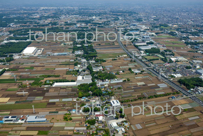 三富新田(三芳地区)(2022/05)