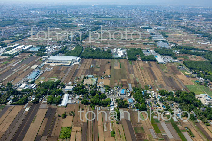 三富新田(三芳より中富方面)(2022/05)