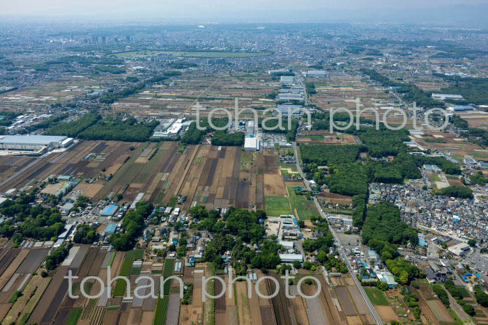 三富新田(三芳より中富方面)(2022/05)