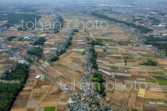 川越地区の新田(2022/05)