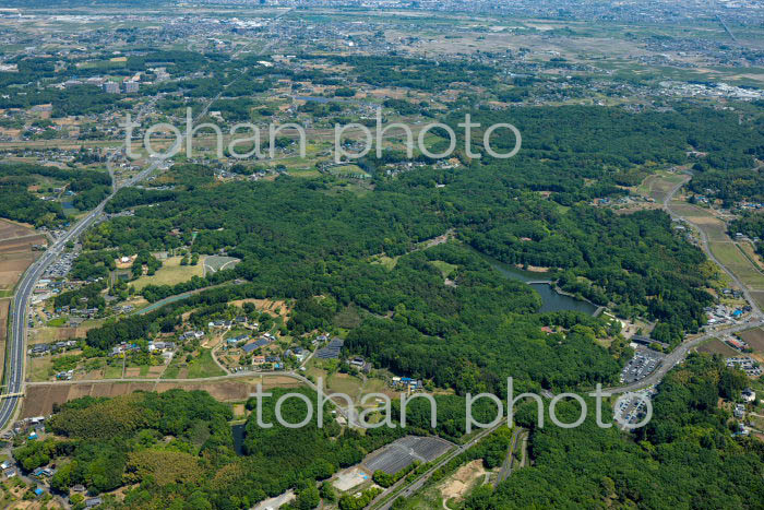 国営武蔵丘陵森林公園(2022/05)