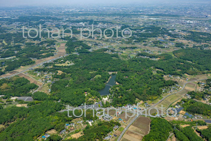 国営武蔵丘陵森林公園(2022/05)