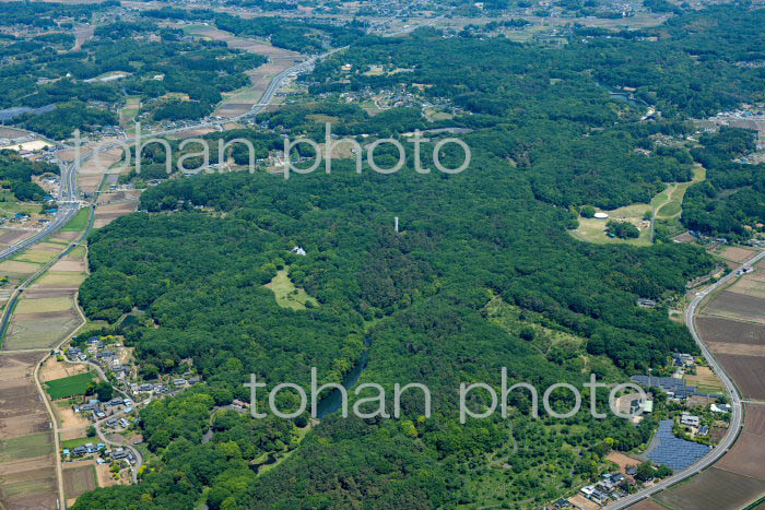 国営武蔵丘陵森林公園(2022/05)