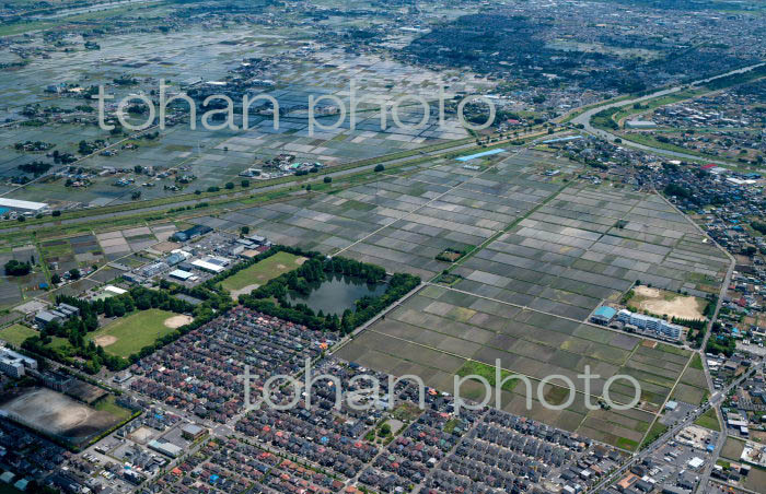 中川,古利根川に挟まれた地区(2022/05)