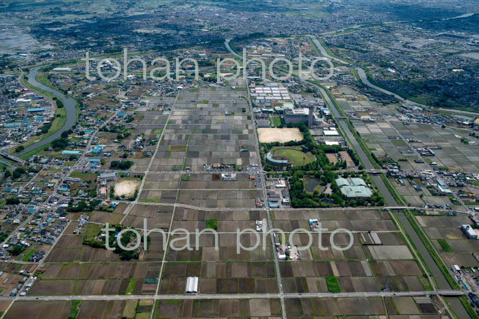 越谷市北地区より越谷市街地方面(2022/05)