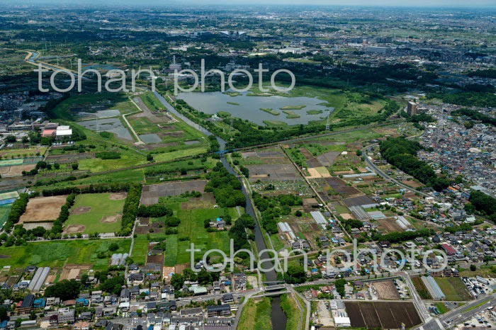 見沼新田(八丁堤周辺より芝川第一調節池方面)(2022/05)