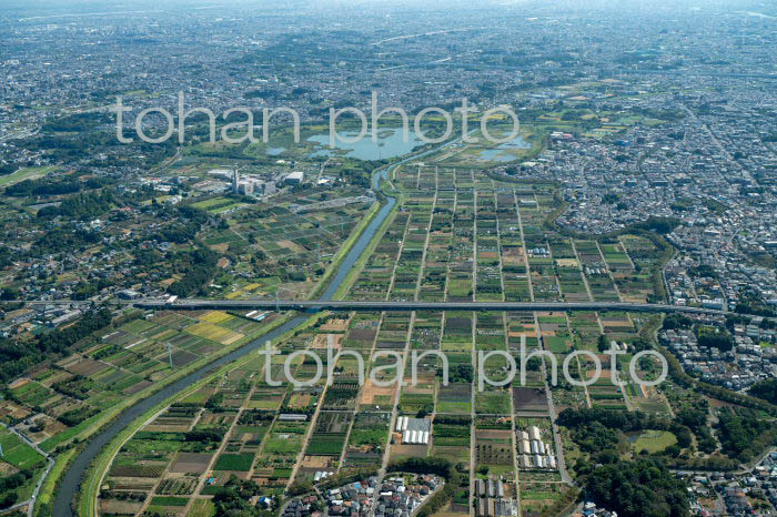 さいたま市緑区,見沼田んぼ周辺(2022/10)