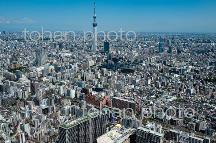 亀戸駅周辺より東京スカイツリー方面(2022/05)