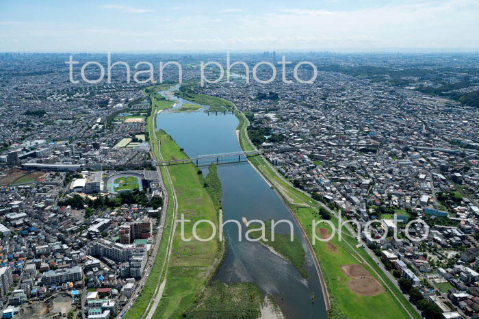 多摩川(京王多摩川駅周辺より下流方面)(2022/8)