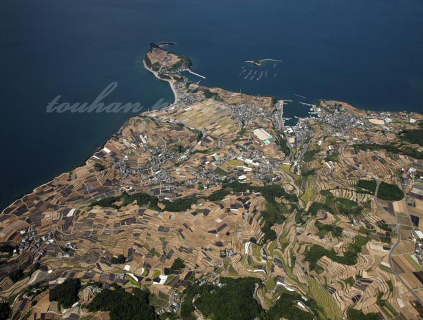 国崎半島の棚田群(天草灘,橘湾)(2012/10)