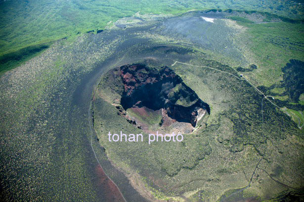 大島三原山河口周辺(2014/5)