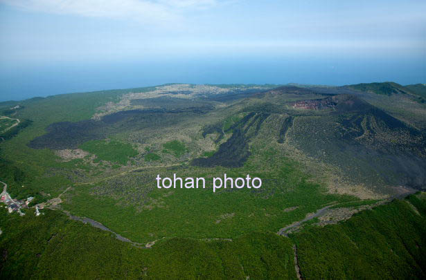 大島三原山溶岩と三原山周辺(2014/5)