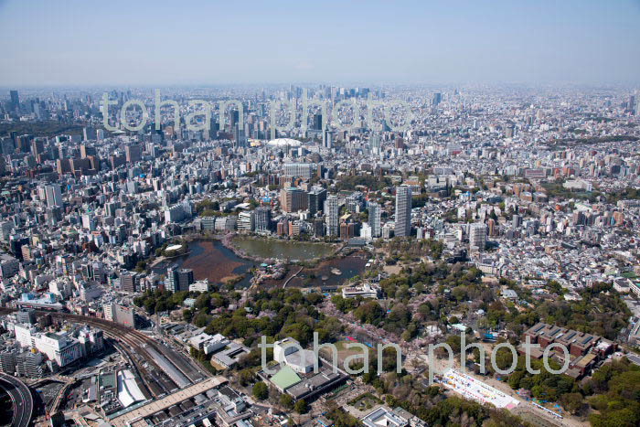 満開の桜の東京都上野恩賜公園,上野動物園と不忍池より都心方面(2018/3)