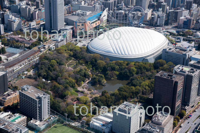 小石川後楽園の桜と東京ドーム周辺(2018/3)