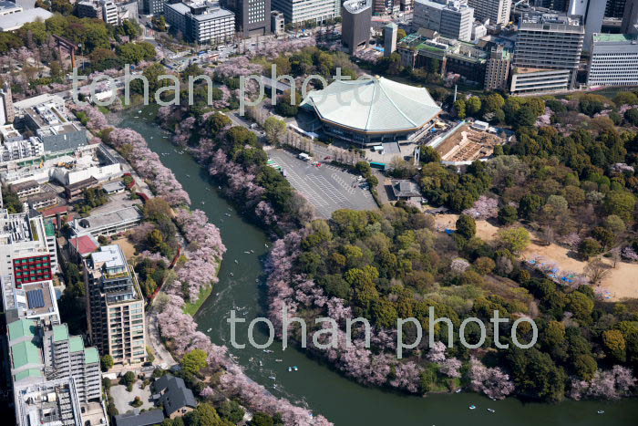 満開の桜の千鳥ヶ淵と北の丸公園と日本武道館周辺(2018/3)