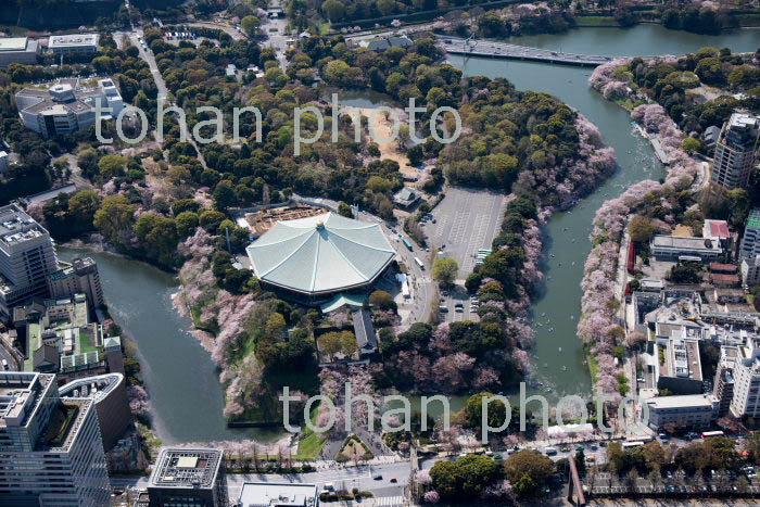 満開の桜の千鳥ヶ淵、牛ケ淵、日本武道館、北の丸公園周辺(2018/3)