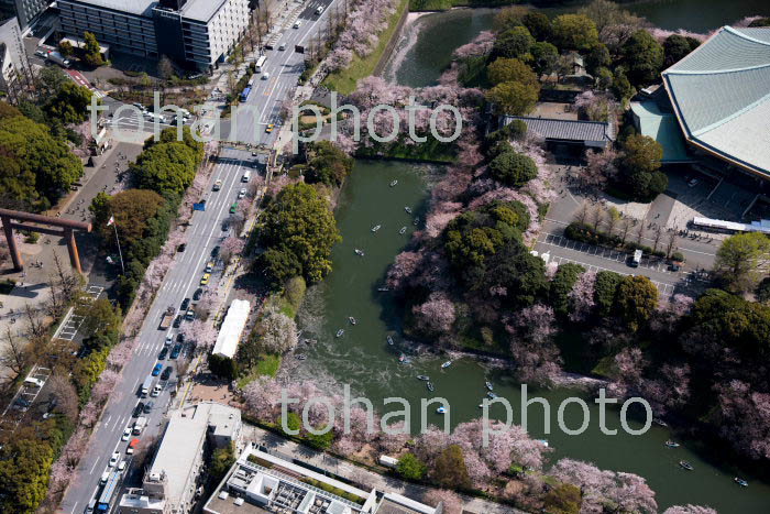 満開の桜の千鳥ヶ淵周辺(2018/3)