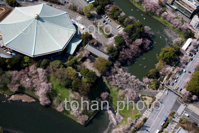 満開の桜の田安門と千鳥ヶ淵、千鳥ヶ淵周辺(2018/3)