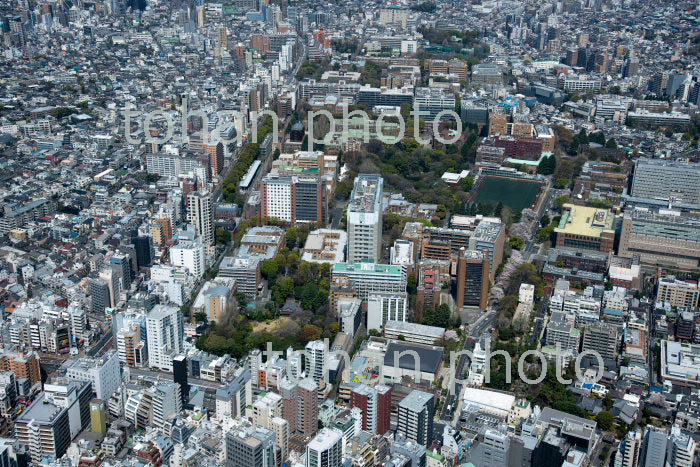 東京大学(本郷キャンパス)(2019/4)