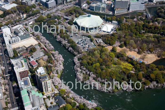 桜満開の千鳥ヶ淵と北の丸公園周辺(2019/4)