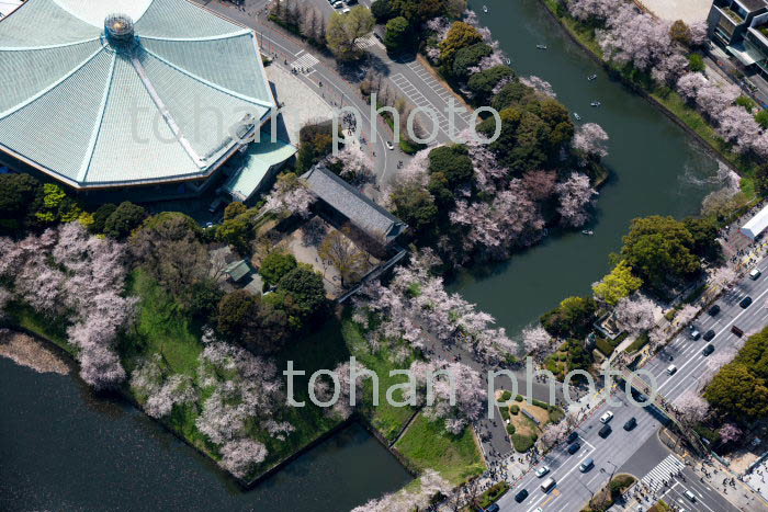 桜満開の千鳥ヶ淵と田安門周辺(2019/4)